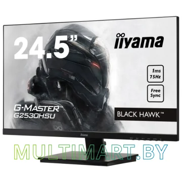 Монитор Iiyama G-Master G2530HSU-B1 картинка 2